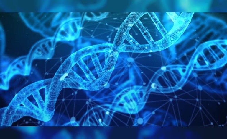 Genes common to dyslexia, ADHD discovered in study