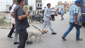 Jaipur: Private school receives bomb threat, premises combed