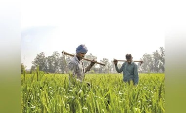 Govt aims to cut post-harvest losses to below 5 pc by 2047: Agri Min official