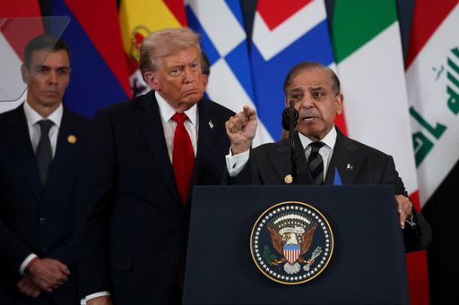 Pakistan committed to establishment of Palestinian state with pre-1967 borders: Shehbaz