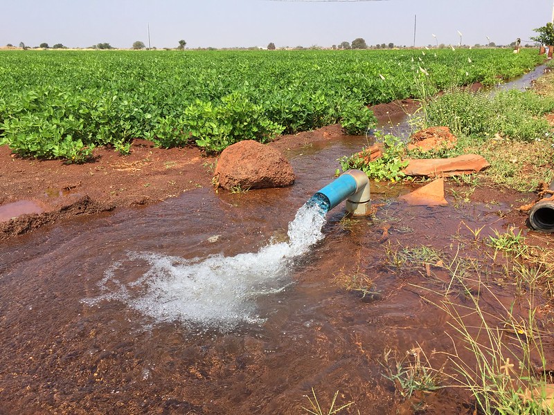India accounts for 25% of global groundwater use, says committee, flags over-extraction