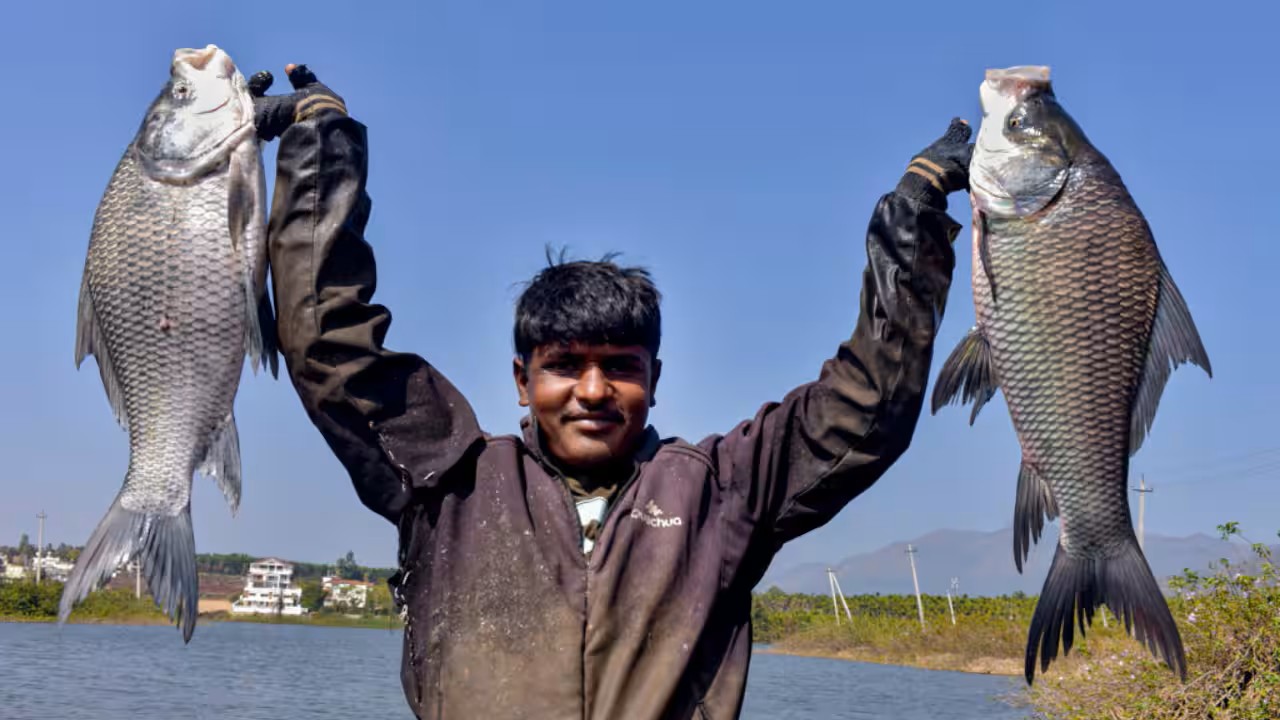 Fisheries department exploring PLI scheme for seafood sector MSMEs: Comm min