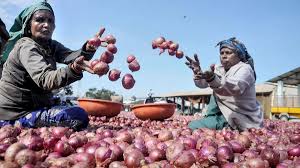 Centre to buy onions at Rs 1,235 a quintal from farmers: Chouhan; inadequate, says association