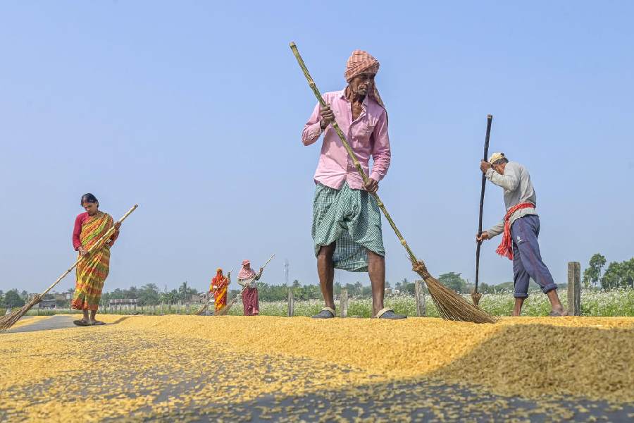 West Bengal rice industry seeks infra push, faster clearances from new BJP govt
