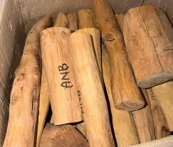 India gifts special type of sandalwood to Nepal's Pashupatinath temple