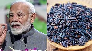 PM presenting Manipur's black rice to UAE Queen Mother matter of immense pride: CM
