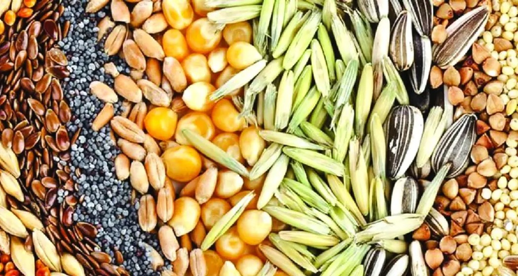 Seed Industry Calls for Strengthening India's Agrobiodiversity Amid Global Supply Shocks