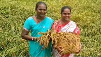 T'gana govt to help women SHGs to set up rice mills, logistic parks, super bazaars