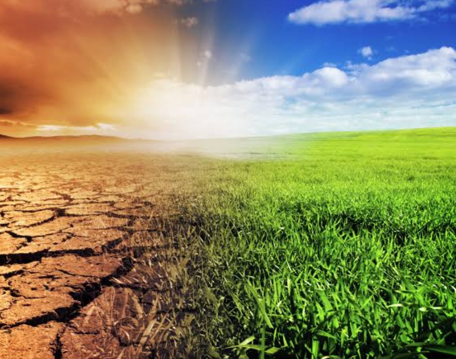 'India's agri sector-food industry must adapt to withstand climate impacts'