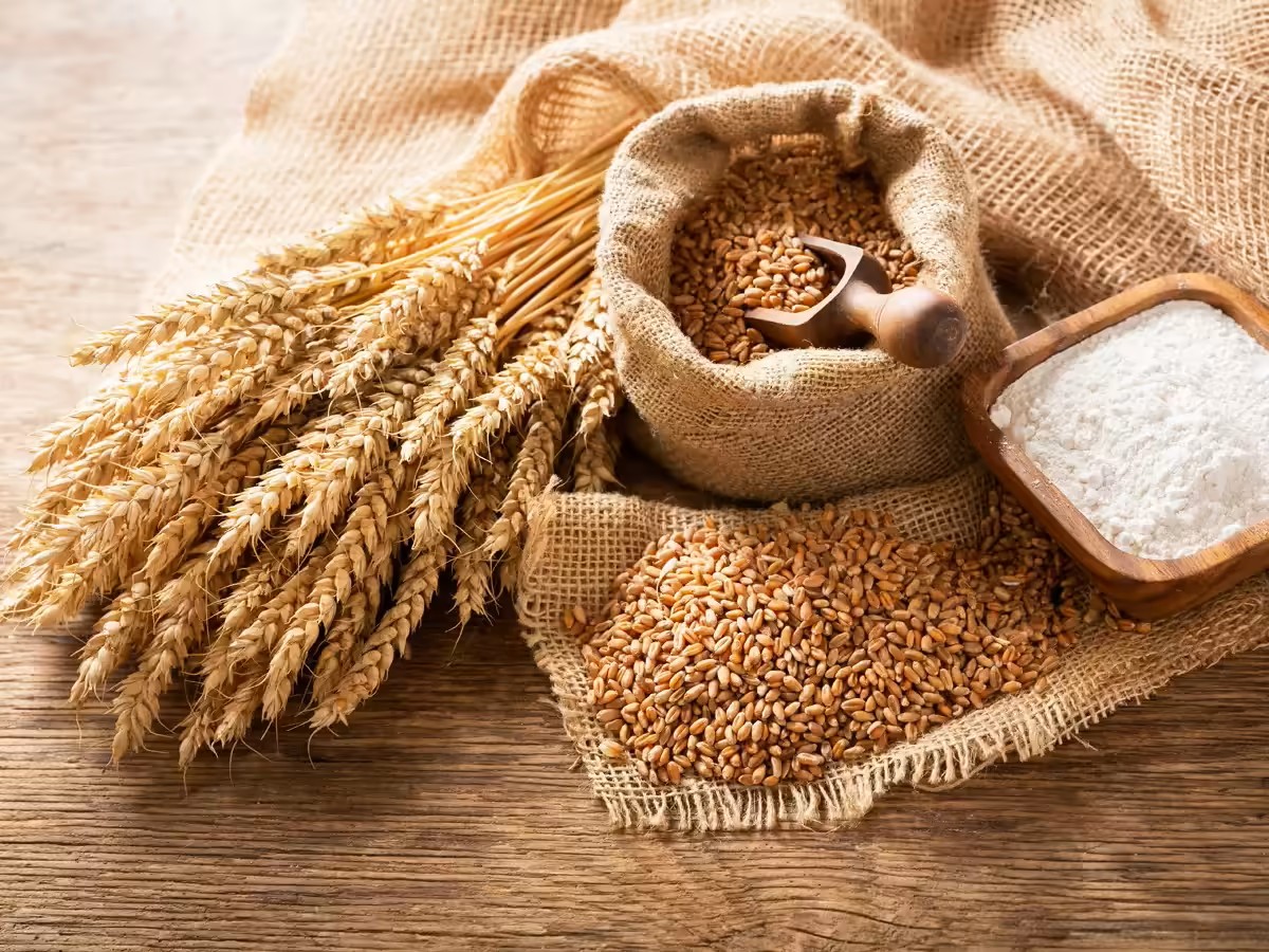 Wheat output estimated to rise by 2.29 pc to 120.65 mn tons for 2025-26: Govt data
