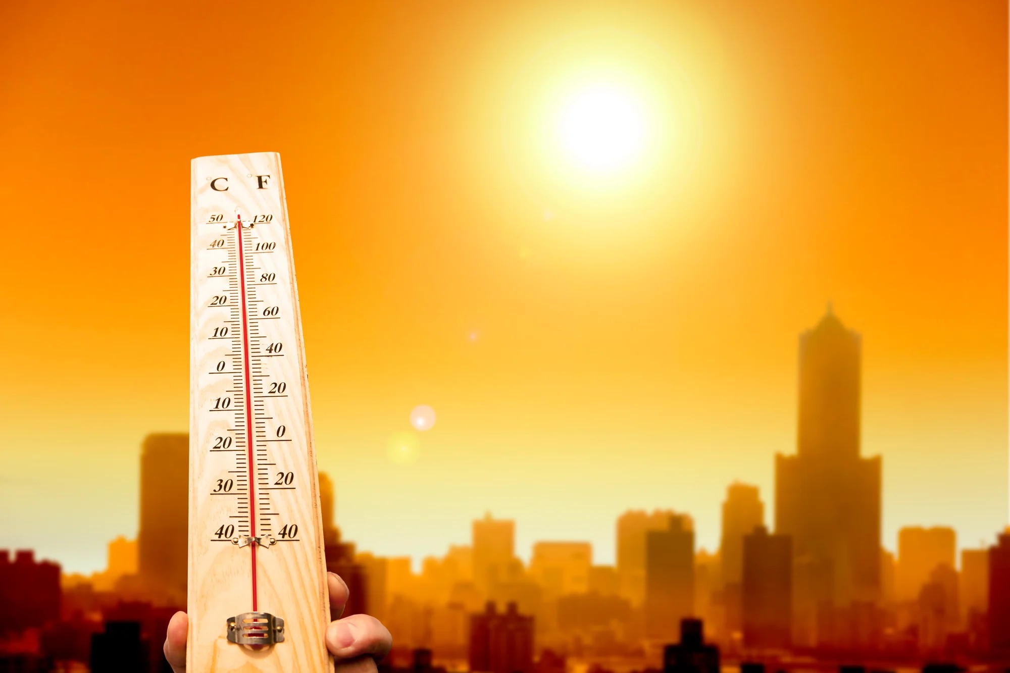 Severe heat continues in Haryana, Punjab; Rohtak hottest at 46.6 degrees Celsius