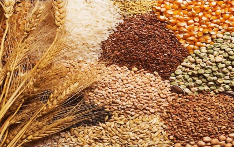 Foodgrain output to hit record 376.56 mn ton in 2025-26; wheat production up 2 pc at 121 mn ton: Govt
