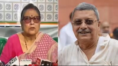 TMC's LS member accuses party MP Kalyan Banerjee of verbal abuse, misogyny; writes to speaker