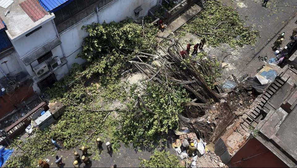 7 killed in rain-related incidents in West Bengal: CM