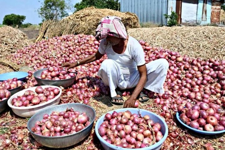 Onion farmers seek Rs 10,000 crore revival package, stable export policy from Centre