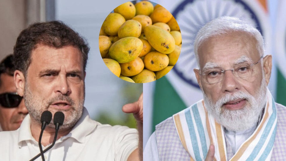 PM had time to speak about mangoes, but not about 18.5 lakh children: Rahul on CBSE OSM row