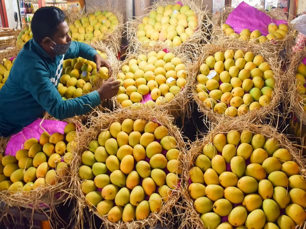 Bengal: Dark spots on Himsagar mangoes cast shadow on export shipment