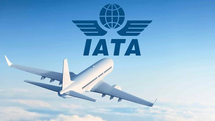 Higher airfares can price out people from flying: IATA Chief Economist