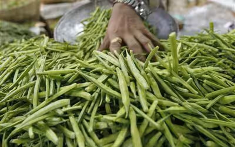 Guar seed futures rise on higher bets