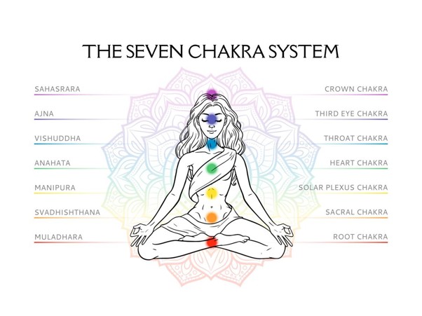 Swami Govind Dev Giri Maharaj launches Dr Sohini Sastri's book on chakras and spiritual healing