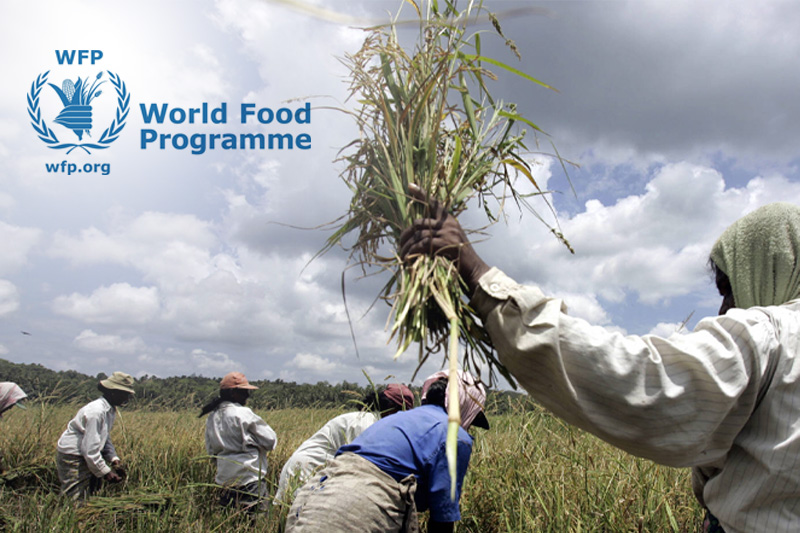 1.3 million Sri Lankans risk falling to hunger, estimates UN food agency