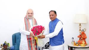 Chhattisgarh CM meets Shah; seeks establishment of national Ayurveda institute