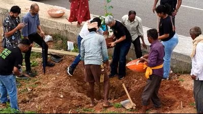 Bloom Avenue: A Year-Round Flower Corridor on Bengaluru''s Major Arterial Road in Kempegowda Layout