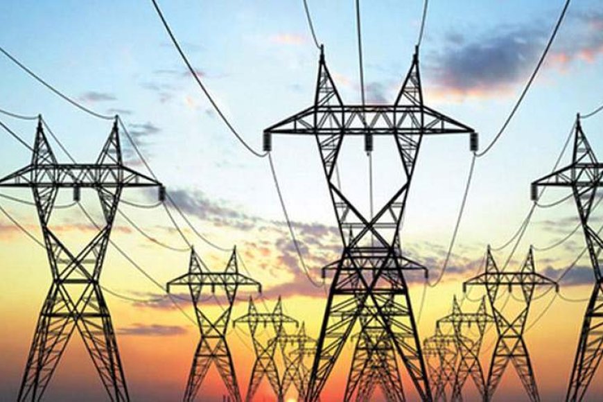 Delhi govt orders CAG audit of power discoms over pending RAs of Rs 38,500 cr