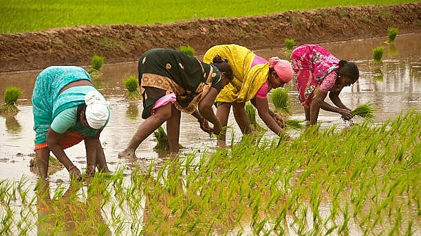 Maharashtra assembly passes first-of-its-kind bill to recognise women farmers