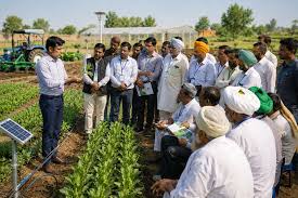 Haryana govt to set up committees in every district to promote natural farming