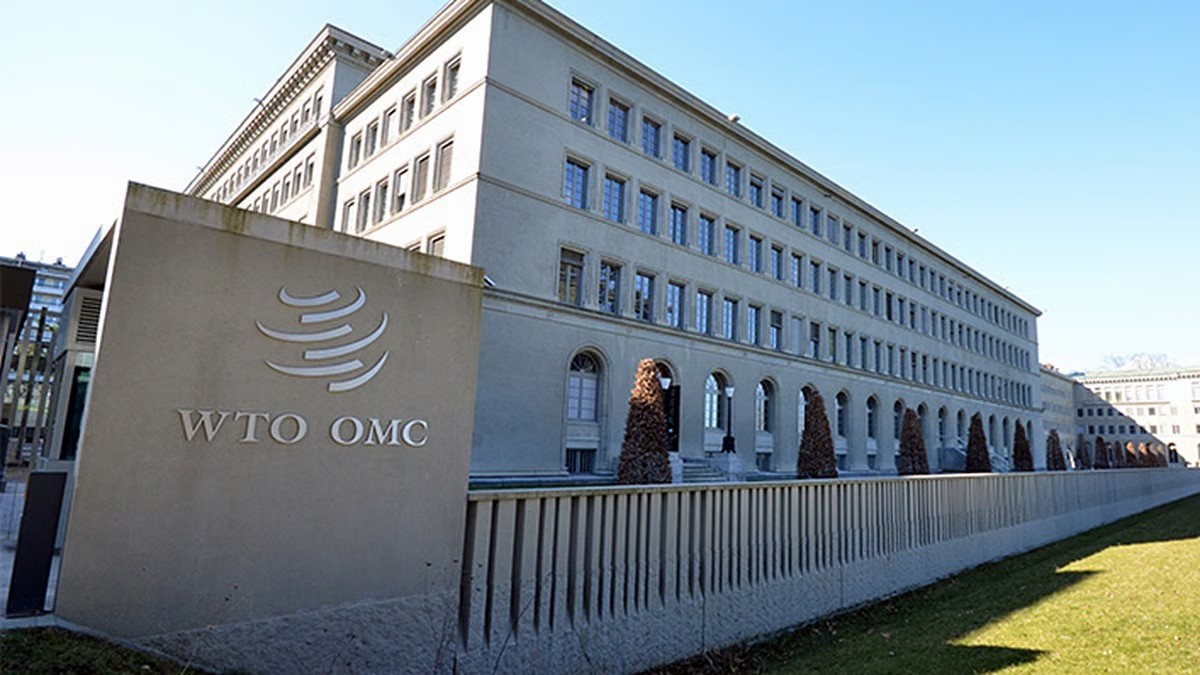 India must address structural challenges to achieve Viksit Bharat vision by 2047: WTO report