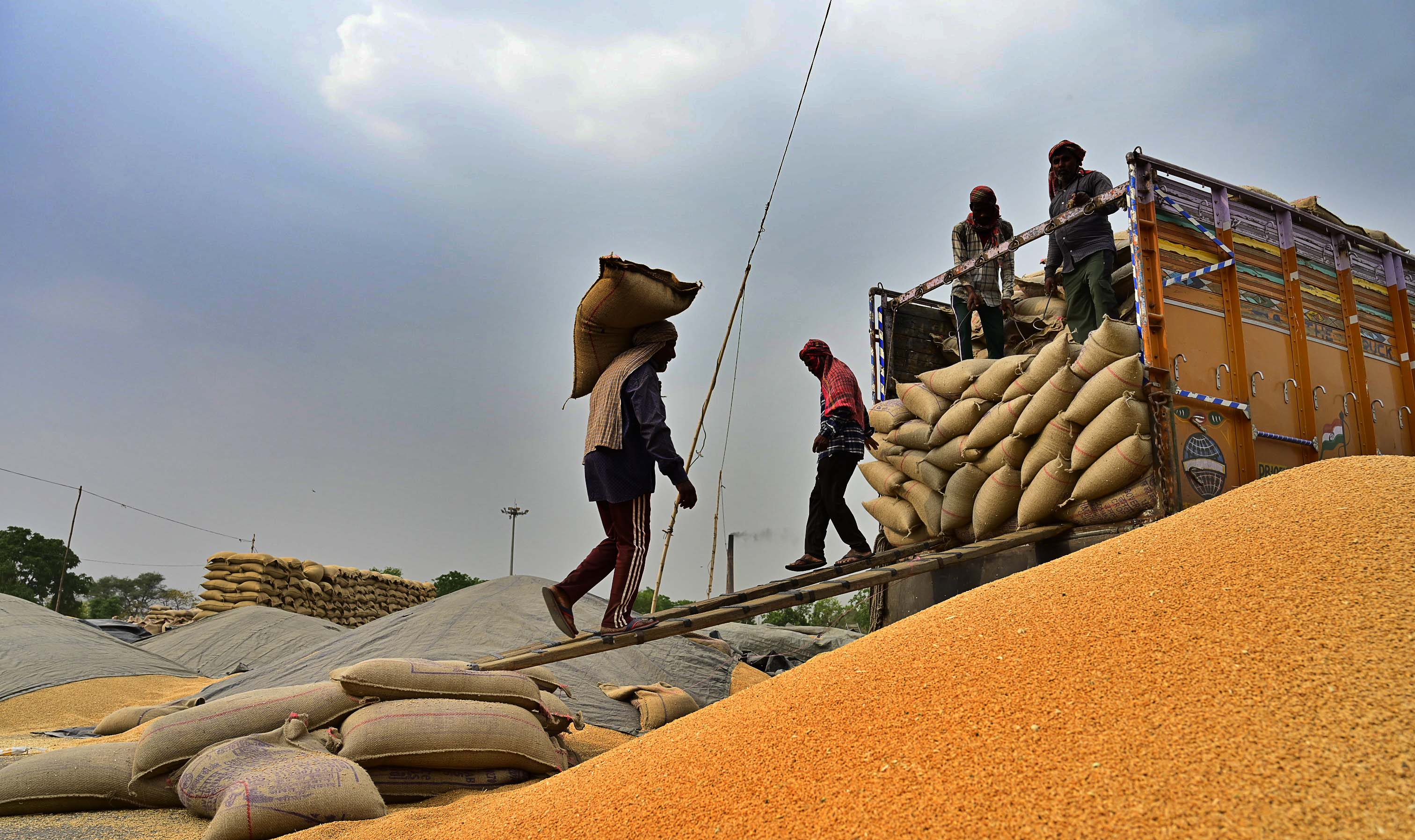 Punjab seeks 12 LMT monthly foodgrain lifting to ease storage crunch ahead of procurement