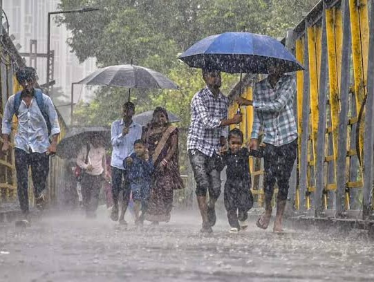 MP records 14 pc below-normal rainfall; Alirajpur worst hit at 78 pc deficit