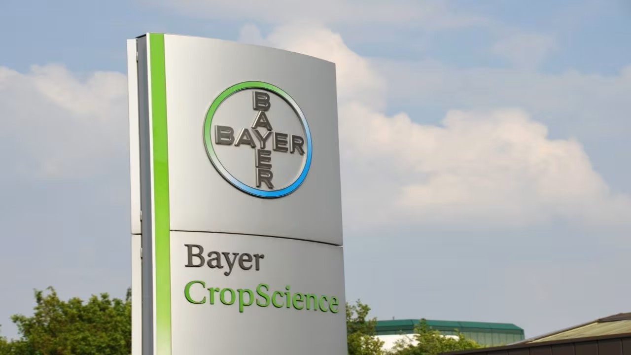 Bayer CropScience Q1 net profit rises 15.39 pc to Rs 321.6 cr
