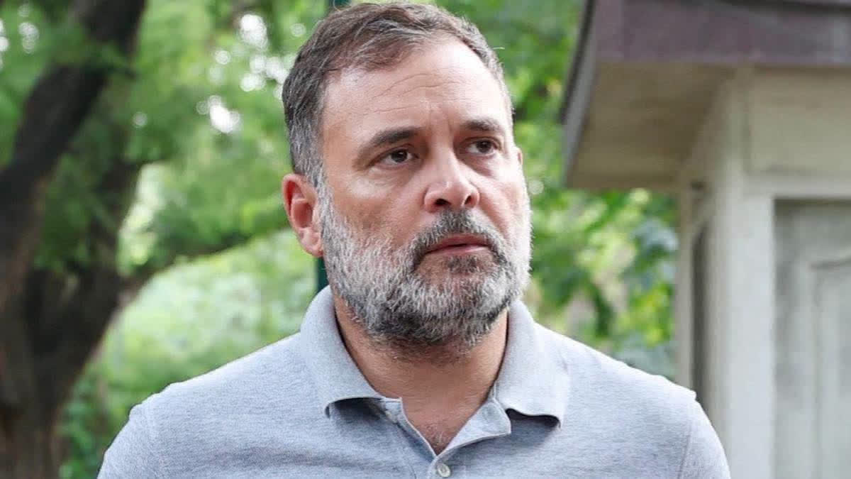 PM's image destroyed'; Modi, Shah cannot escape consequences of their actions: Rahul
