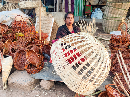 Bamboo sector reforms open doors to greater innovation, entrepreneurship
