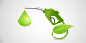 India supplies 895 crore litres of ethanol by August: Industry data